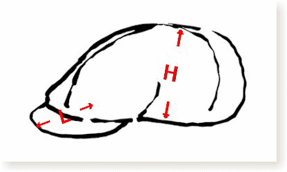 【帽子サイズ図解1】